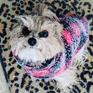 Meet your Posher, Kylee